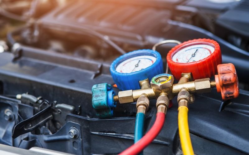 Gather the Necessary Supplies